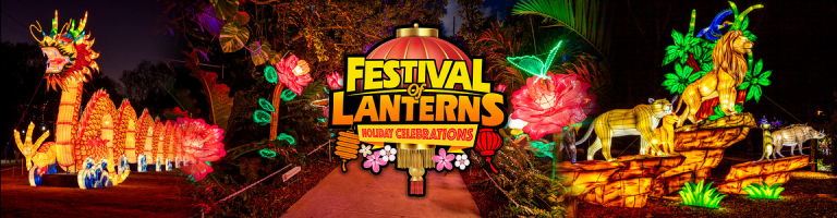 Festival of Lanterns Banner