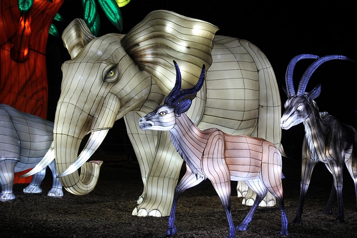 Elephant Lantern