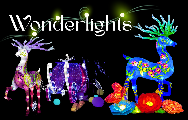 Wonderlights Image